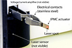 Precision Control of Ionic Polymer-Metal Composite Actuators