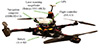 Open-Sector Rapid Reactive Collision Avoidance: Application in Aerial Robot Navigation Through Outdoor Unstructured Environments