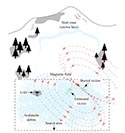 Body-pose Bayesian estimation of a snow-avalanche victim: a method for first responders and/or aerial robots to quickly locate a buried victim