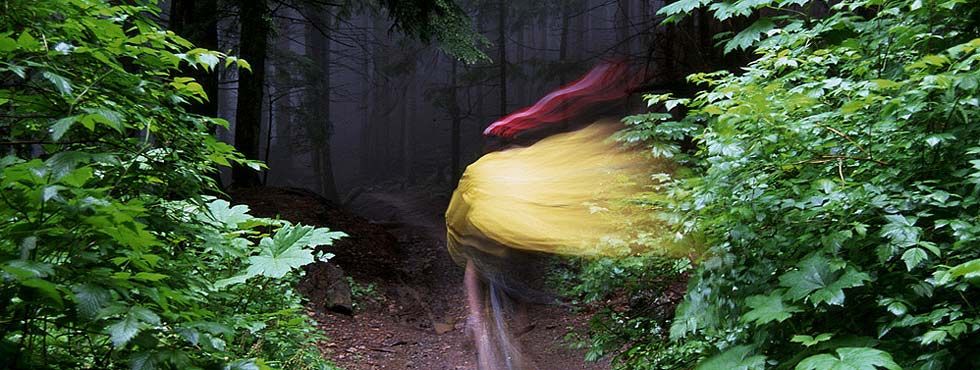 I. Spies at Tiger Mountain (© Kam K. Leang)